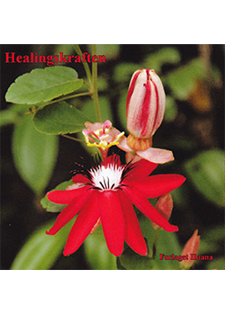 Healingskraften cd